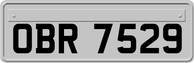 OBR7529