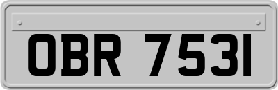 OBR7531