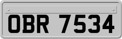 OBR7534