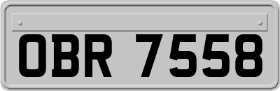 OBR7558
