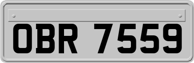 OBR7559