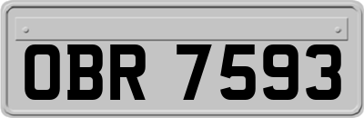 OBR7593
