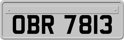OBR7813