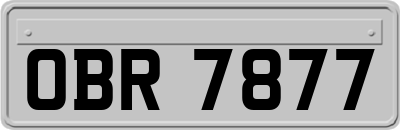 OBR7877