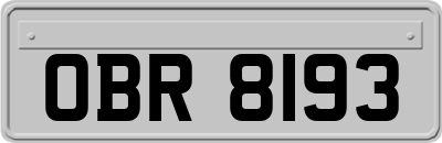 OBR8193