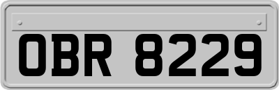 OBR8229
