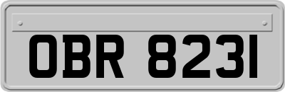 OBR8231