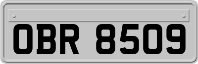 OBR8509