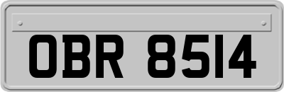 OBR8514
