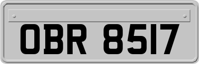 OBR8517
