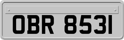 OBR8531