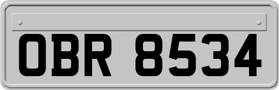 OBR8534