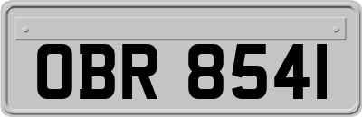 OBR8541