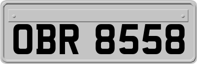 OBR8558