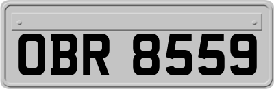OBR8559