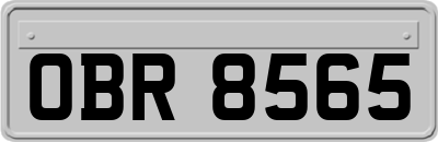 OBR8565