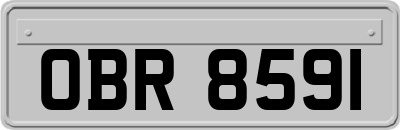 OBR8591