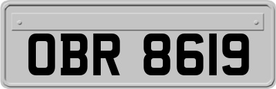 OBR8619