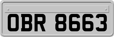 OBR8663
