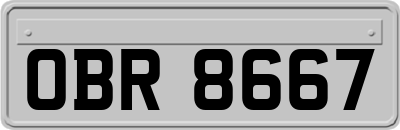 OBR8667