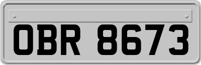OBR8673