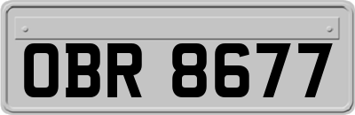 OBR8677