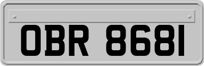 OBR8681