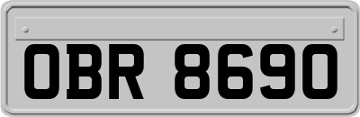 OBR8690