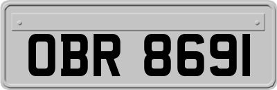 OBR8691