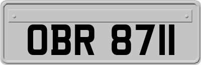 OBR8711