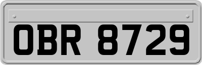 OBR8729