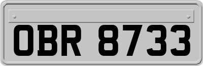 OBR8733