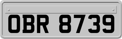 OBR8739