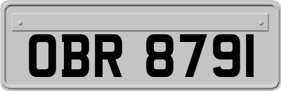 OBR8791