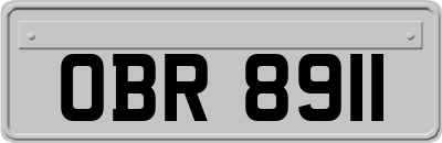 OBR8911