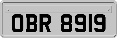 OBR8919