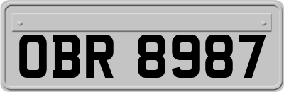 OBR8987