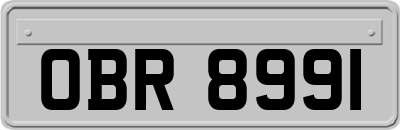 OBR8991