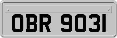 OBR9031