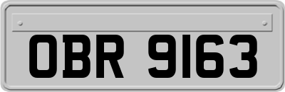 OBR9163