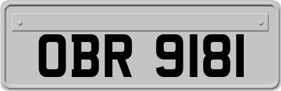 OBR9181