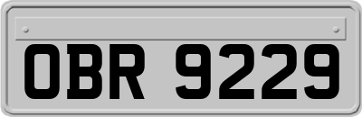 OBR9229