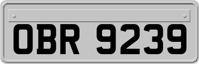 OBR9239