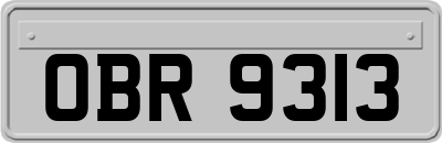 OBR9313