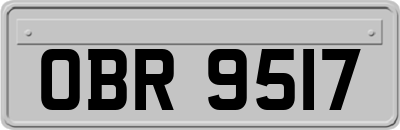 OBR9517