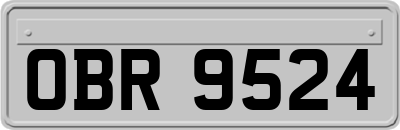 OBR9524