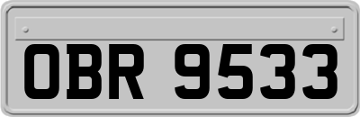OBR9533
