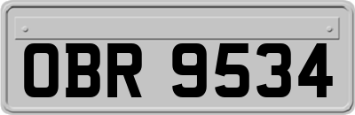 OBR9534
