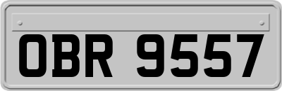 OBR9557