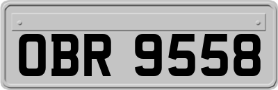 OBR9558